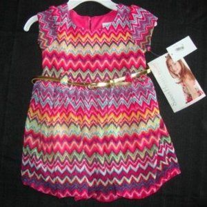 Sweet Heart Rose Striped Chevron Bubble Dress Gold Belt Size 2T NWT